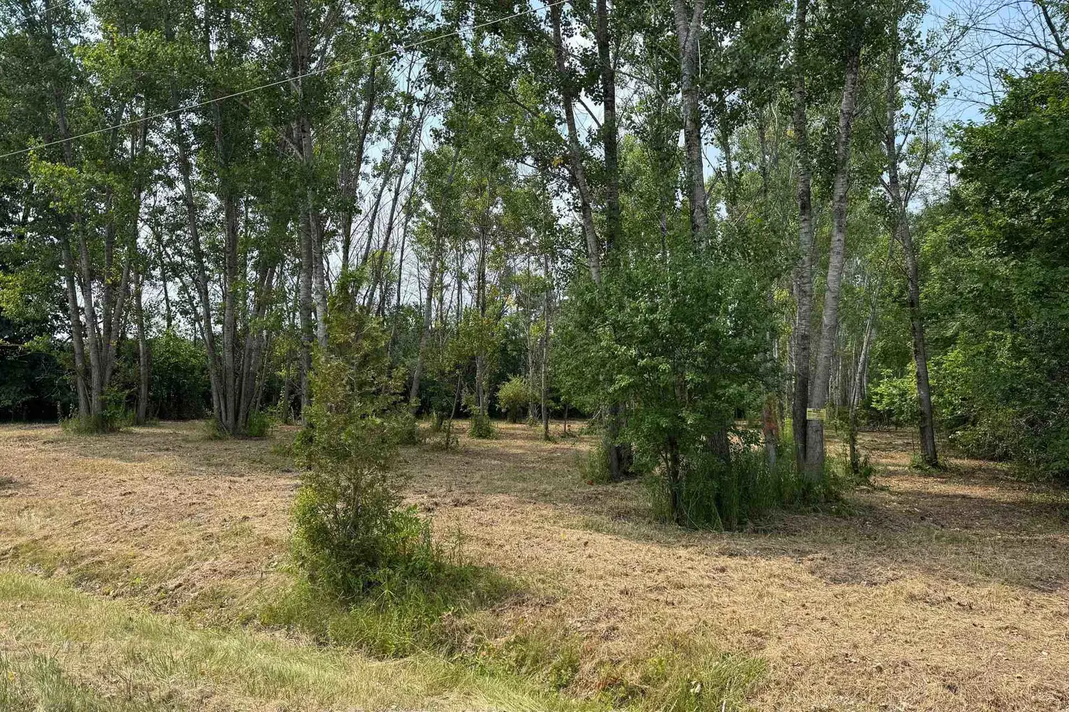 Additional image 2 of Lot Archer Road