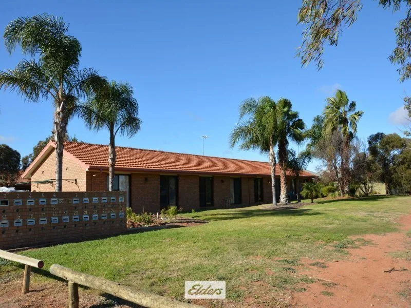 1/133 Jacaranda Street, Red Cliffs VIC 3496