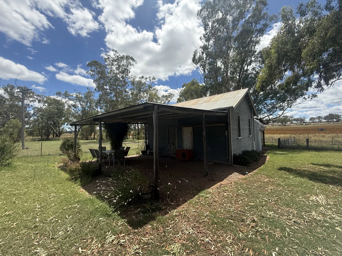 Werris Creek NSW 2341