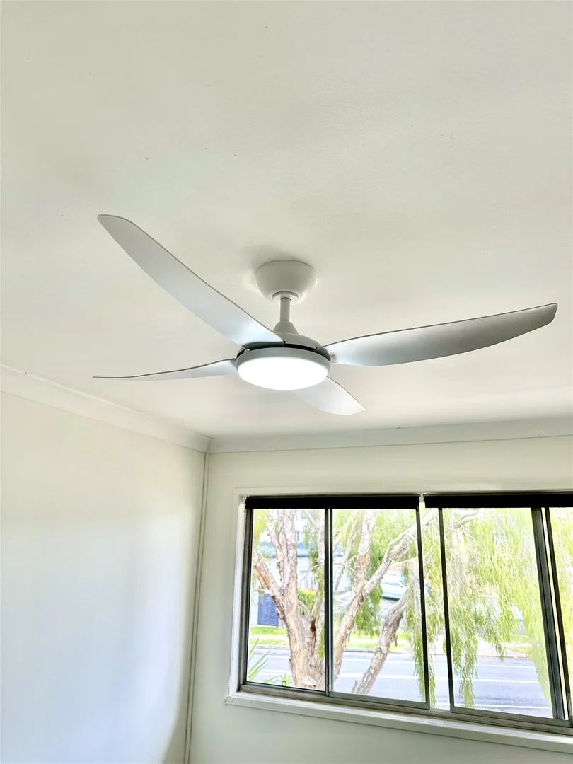 Additional image 20 of 158 Riding Road, Balmoral QLD 4171