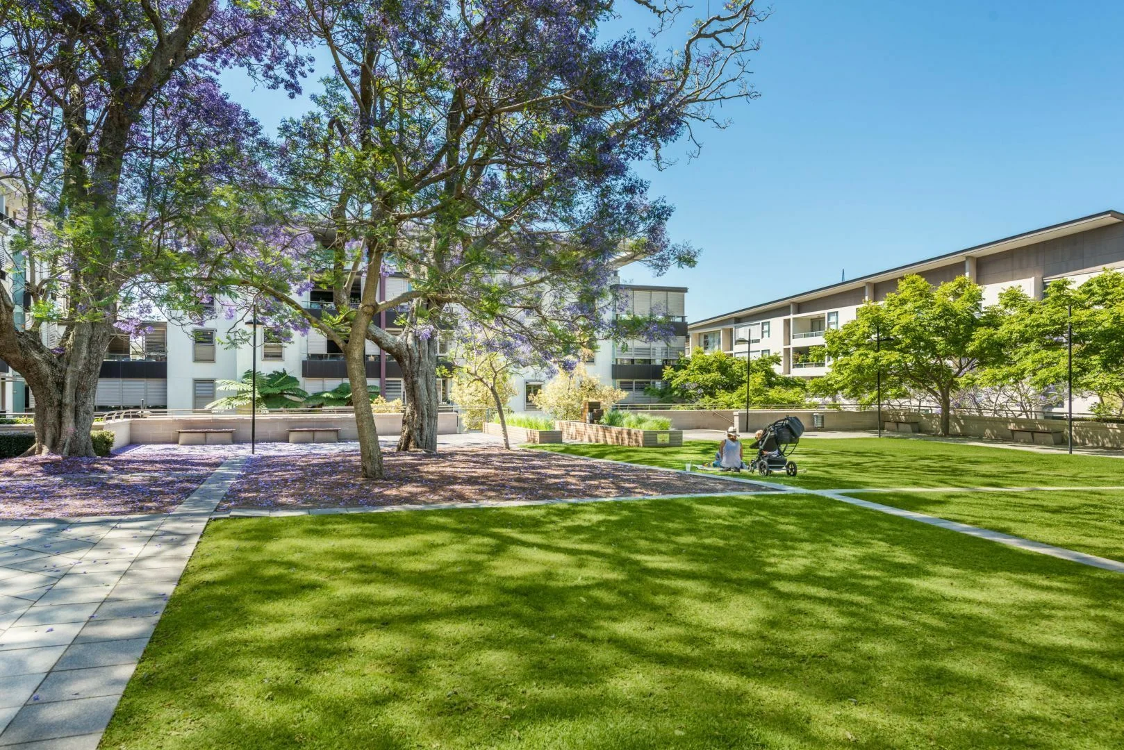 Additional image 15 of 4 Alexandra Drive, Camperdown NSW 2050