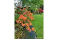 Additional image 33 of 1912 Elliott Ave NW, Olympia, WA, 98502