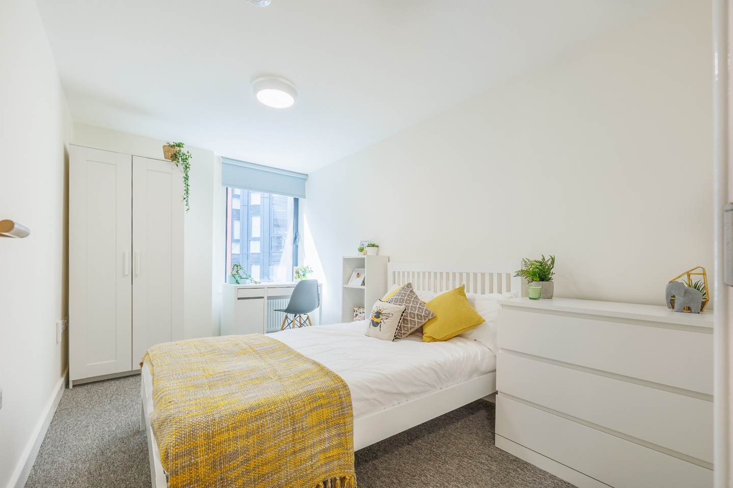 5 Bed Flat, Regent Terrace, S3, N1 7GU photo 2