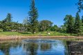 Additional image 29 of 8501 King Rd, Loomis, CA, 95650