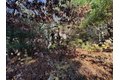 60 Richards Ln, Barnstable, MA, 02632 photo 2