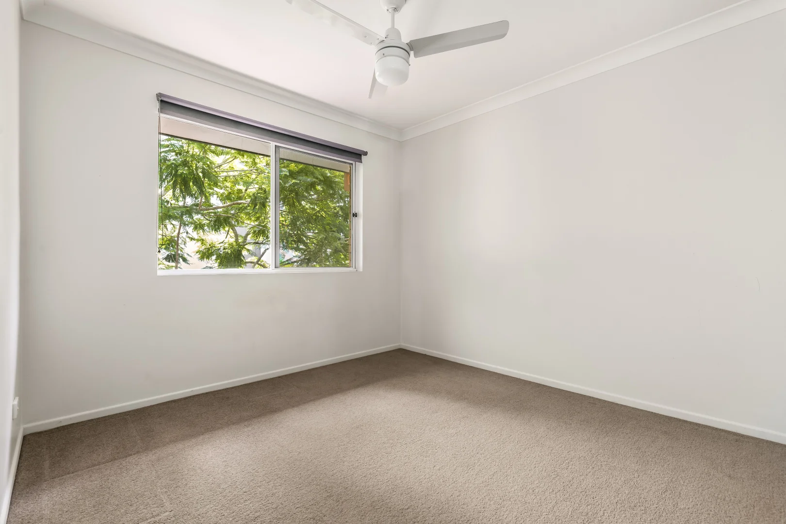 Additional image 8 of 5/12 Auburn Terrace, Indooroopilly QLD 4068