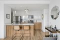 Additional image 6 of 343 W Wolf Point Plz, Chicago, IL, 60654
