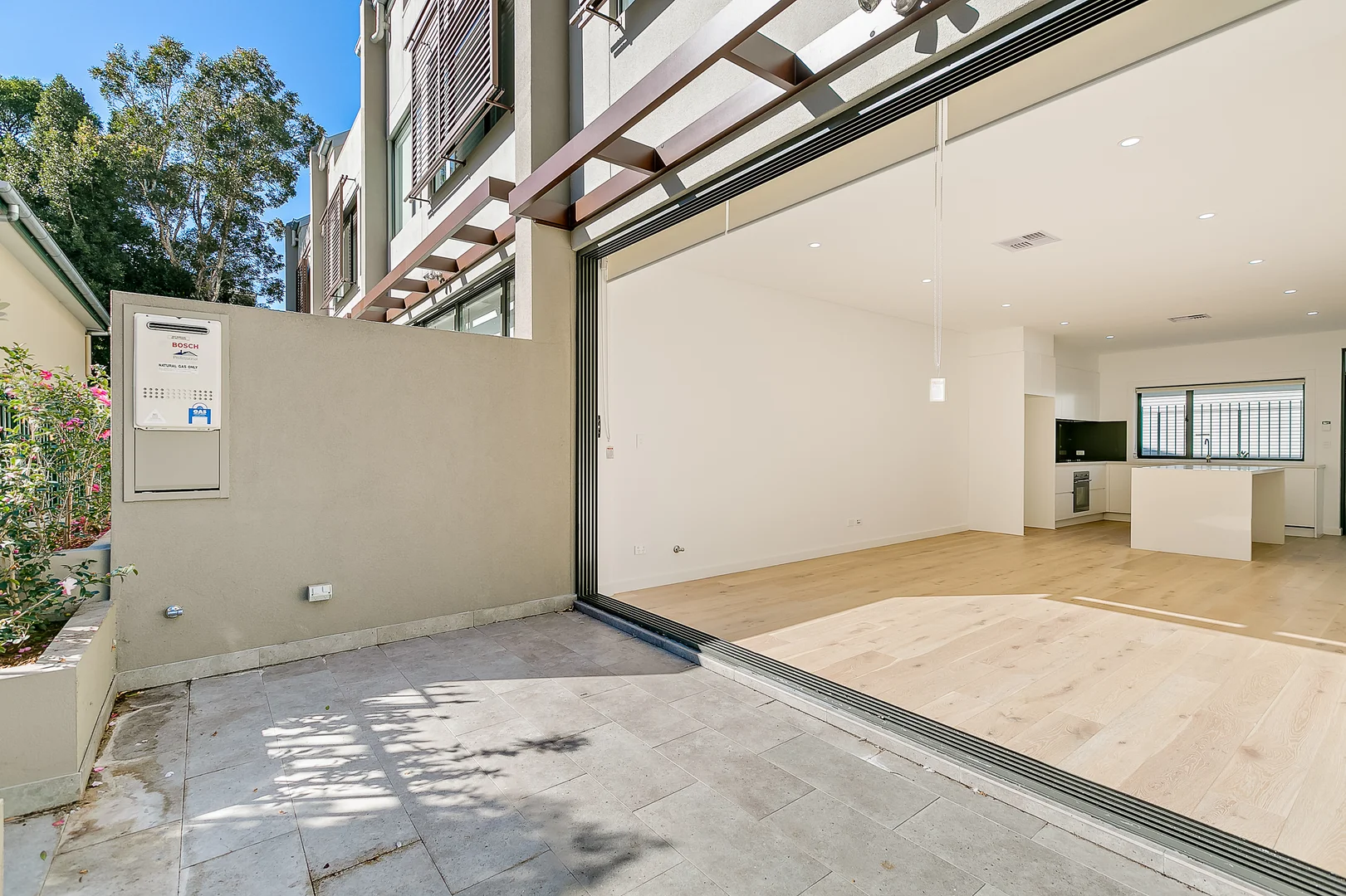 156d Bridge Road, Glebe NSW 2037 photo 5