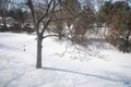 Additional image 6 of 1240 High Rd, Berlin, CT, 06037