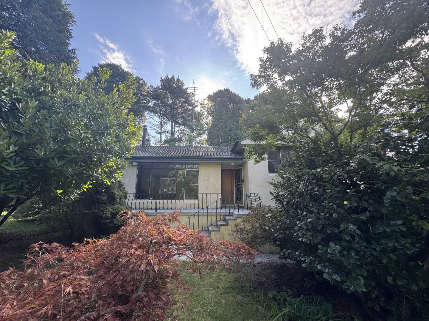 Additional image 3 of 107 Pritchard Street, Wentworth Falls NSW 2782