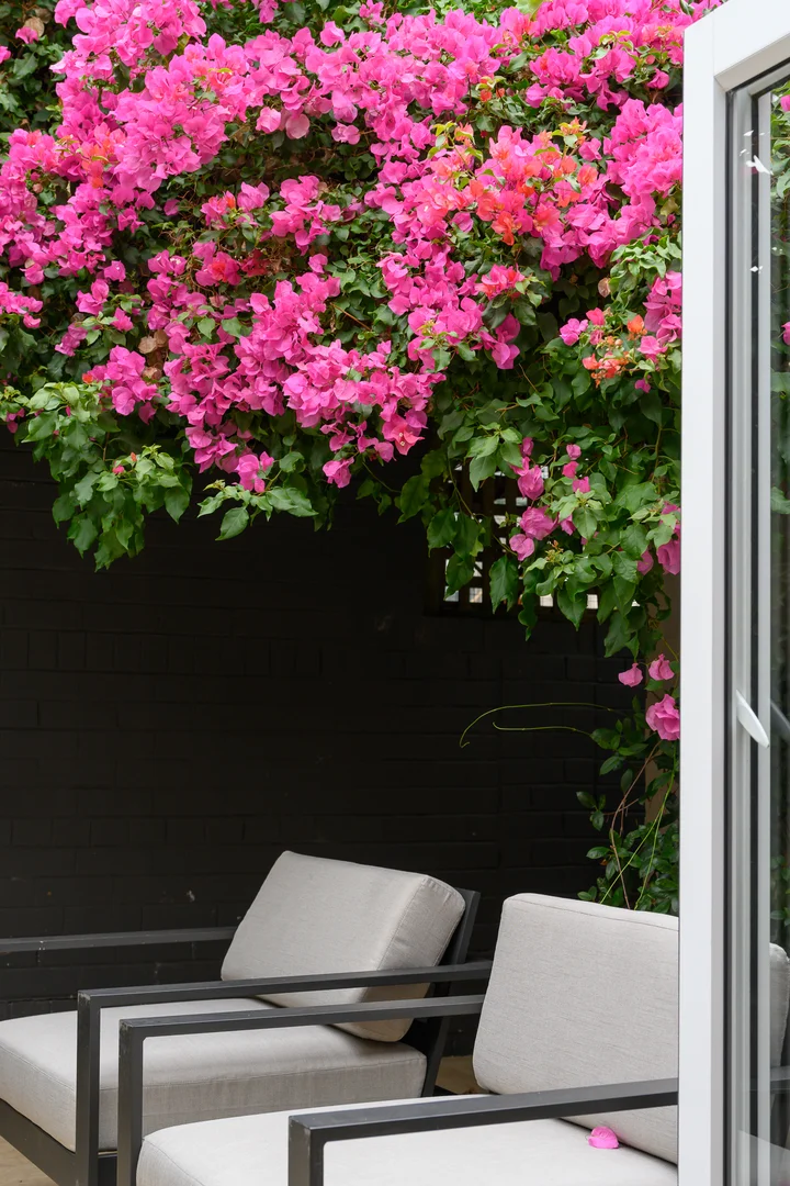 Additional image 36 of 22b Waters Lane, Neutral Bay NSW 2089