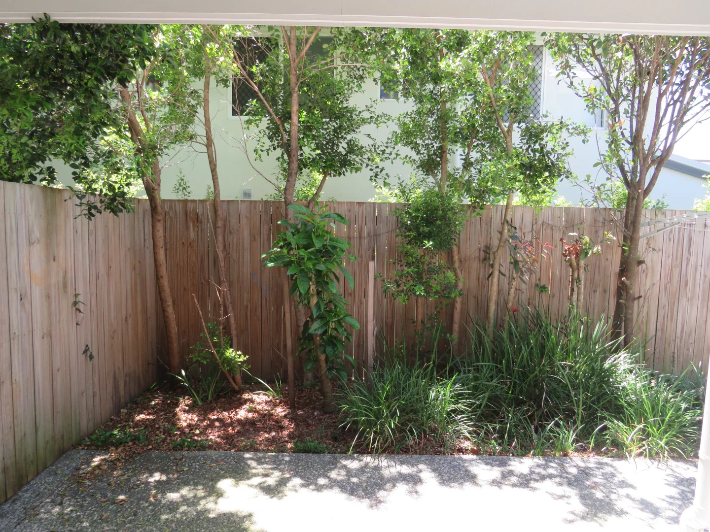 Additional image 9 of 0/44 Highgrove Street, Thornlands QLD 4164