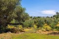 Additional image 49 of 28808 Mountain Meadow Rd, Escondido, CA, 92026