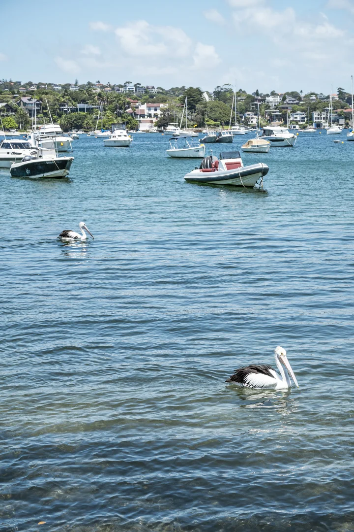 Additional image 8 of 8/3 Military Road, Watsons Bay NSW 2030