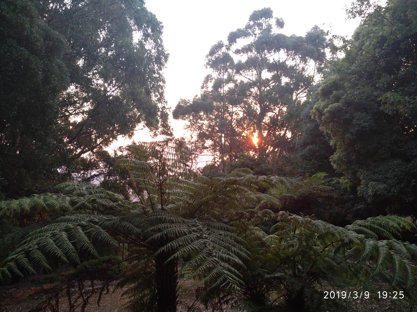 Additional image 9 of 13-15 Sunset Ave, Olinda VIC 3788