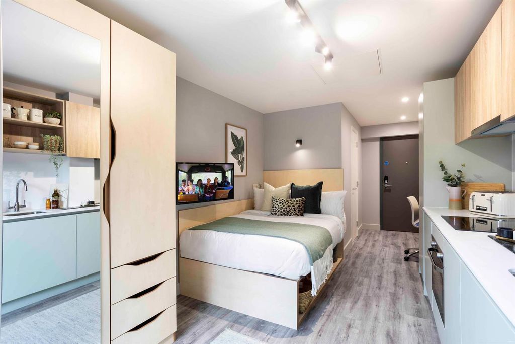 Studio to rentUniversity Road, Belfast BT7 photo 4