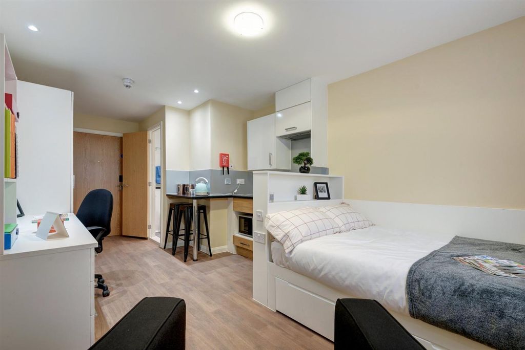 Additional image 5 of Studio to rentDean Street, Bangor LL57