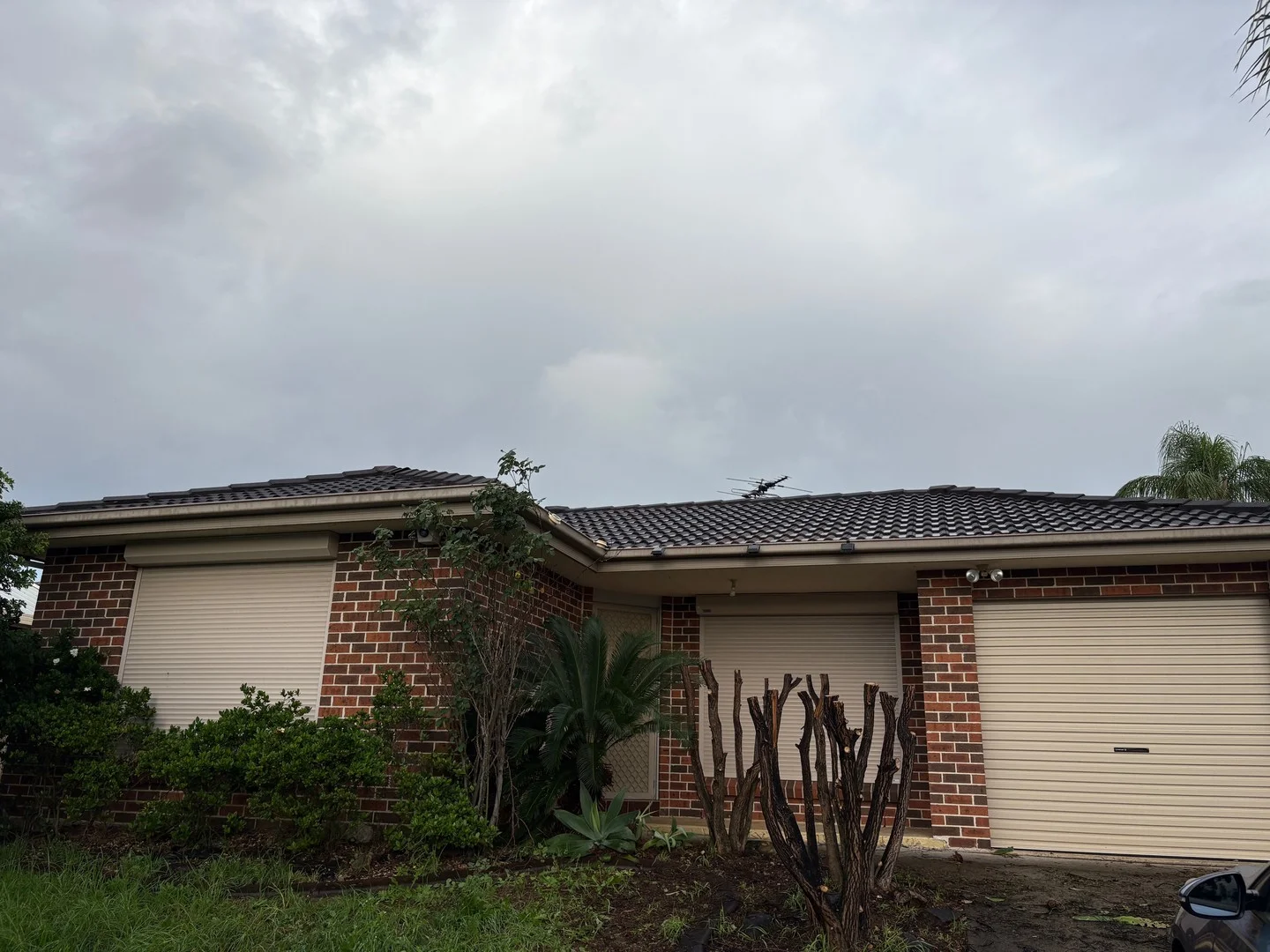 10 Bowerbird Street, Hinchinbrook NSW 2168