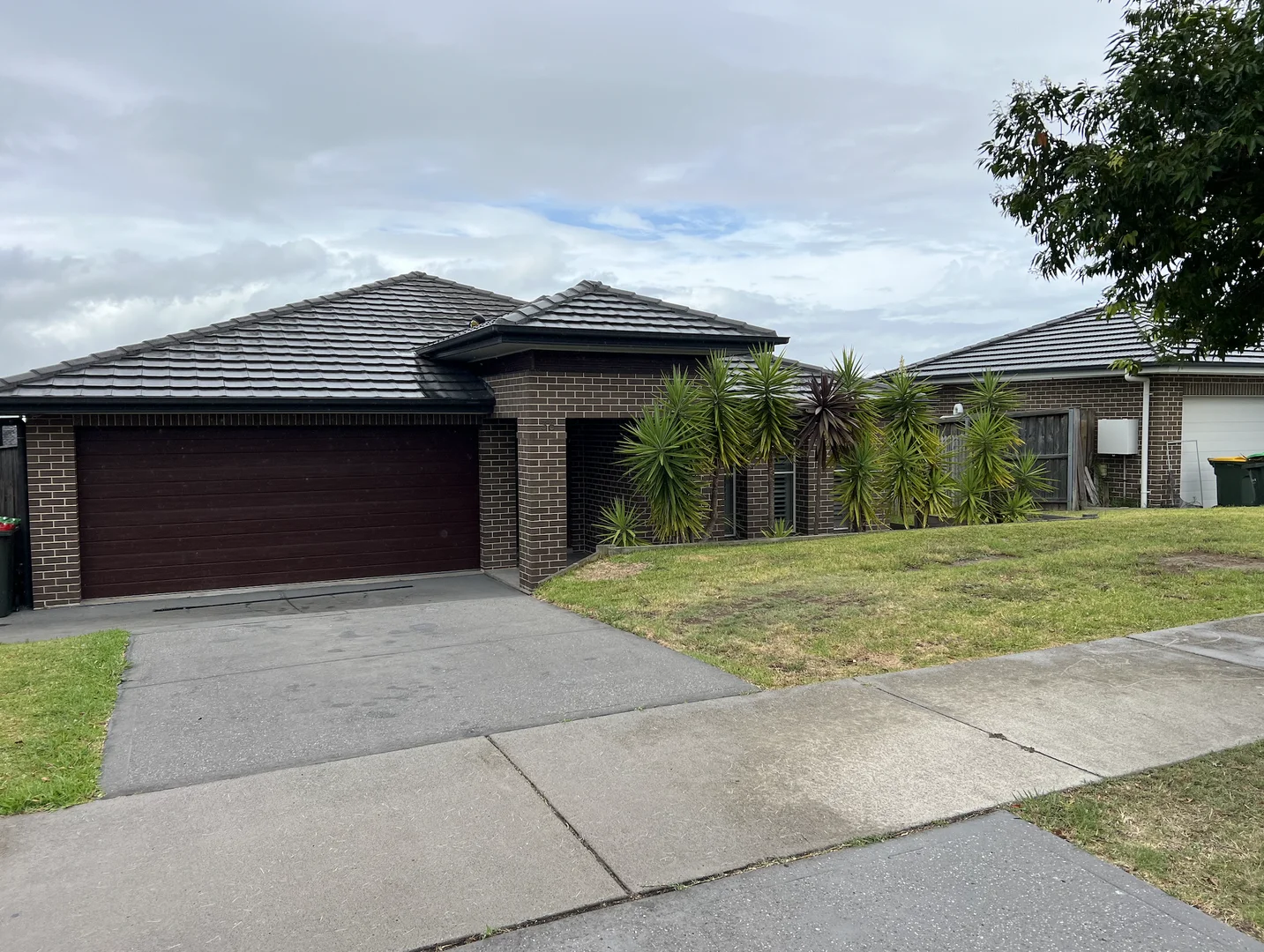 36 Grasshawk Drive, Chisholm NSW 2322