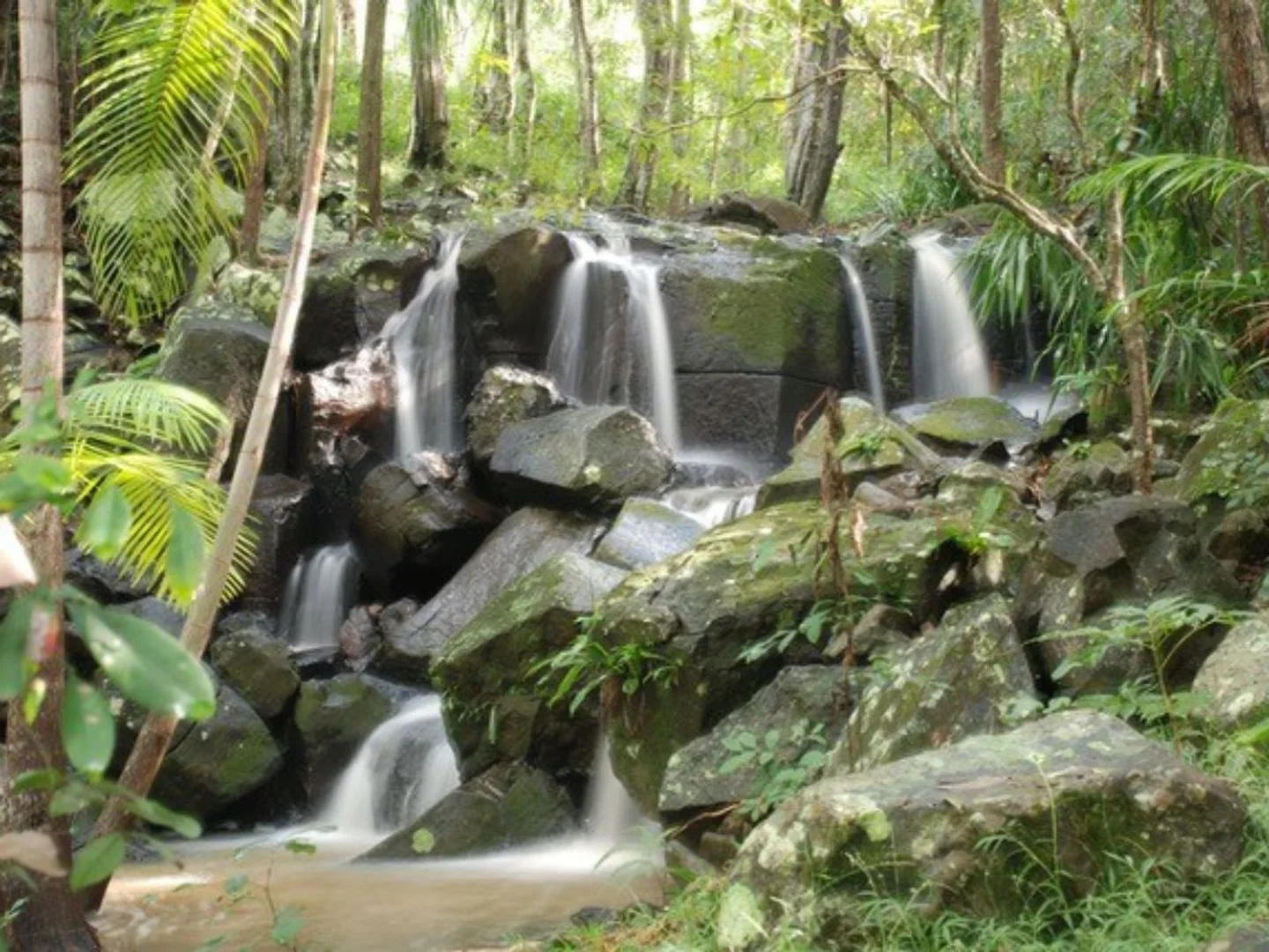 Additional image 10 of 242 Old Byron Bay Road, Newrybar NSW 2479