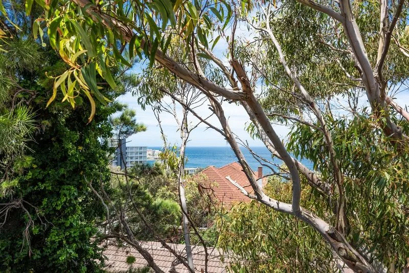 Additional image 11 of 5/331 Bondi Road, Bondi NSW 2026