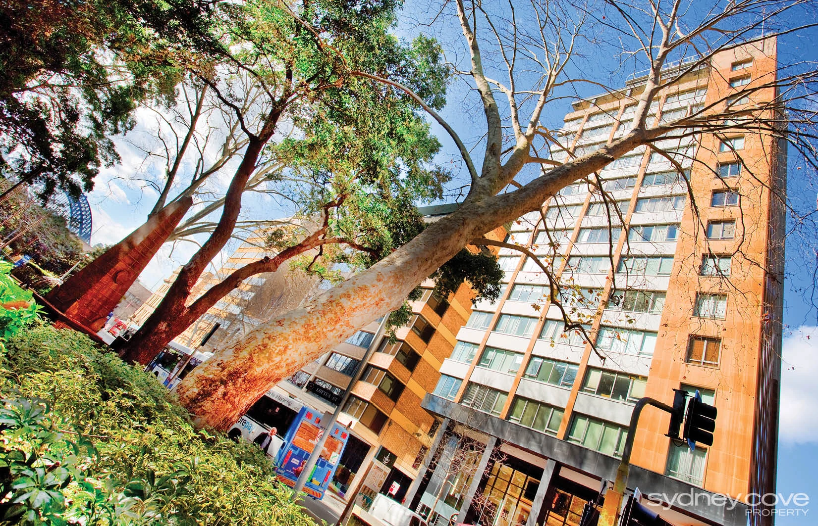 Additional image 7 of 38 Bridge St, Sydney NSW 2000