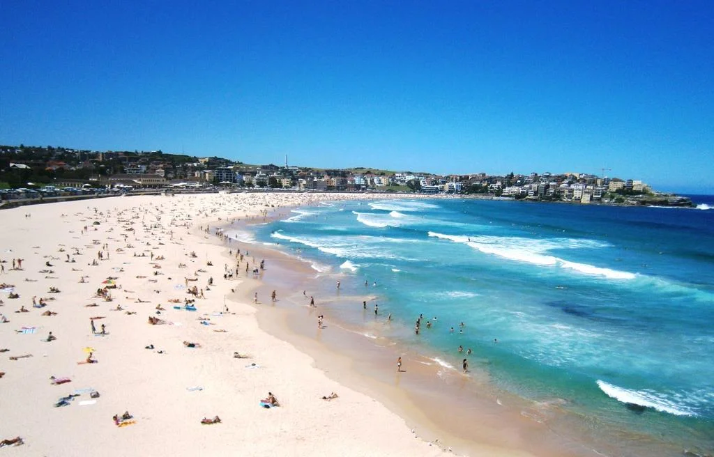 Additional image 6 of Studio/59 O'Brien Street, Bondi Beach NSW 2026