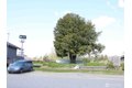 240 G St, Blaine, WA, 98230