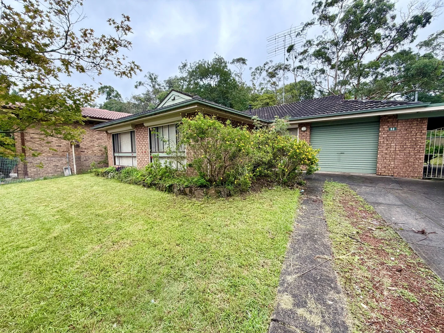 53 Douglas Street, Springwood NSW 2777