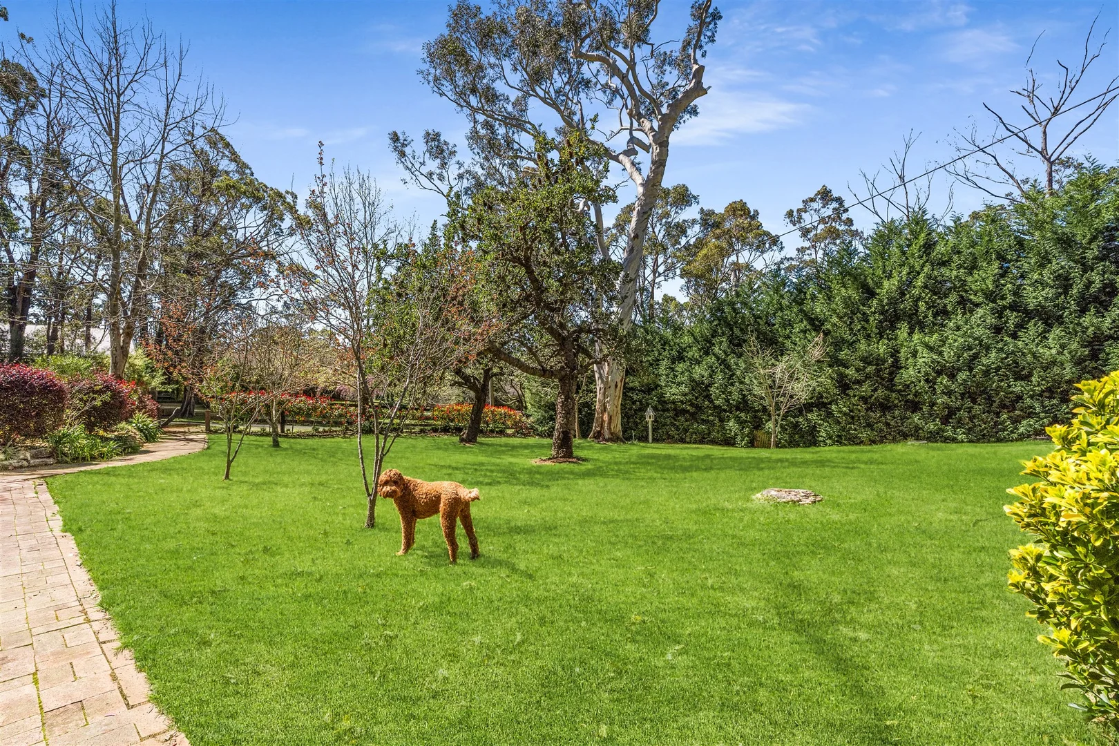 Additional image 3 of 21 Badgery Street, Willow Vale NSW 2575