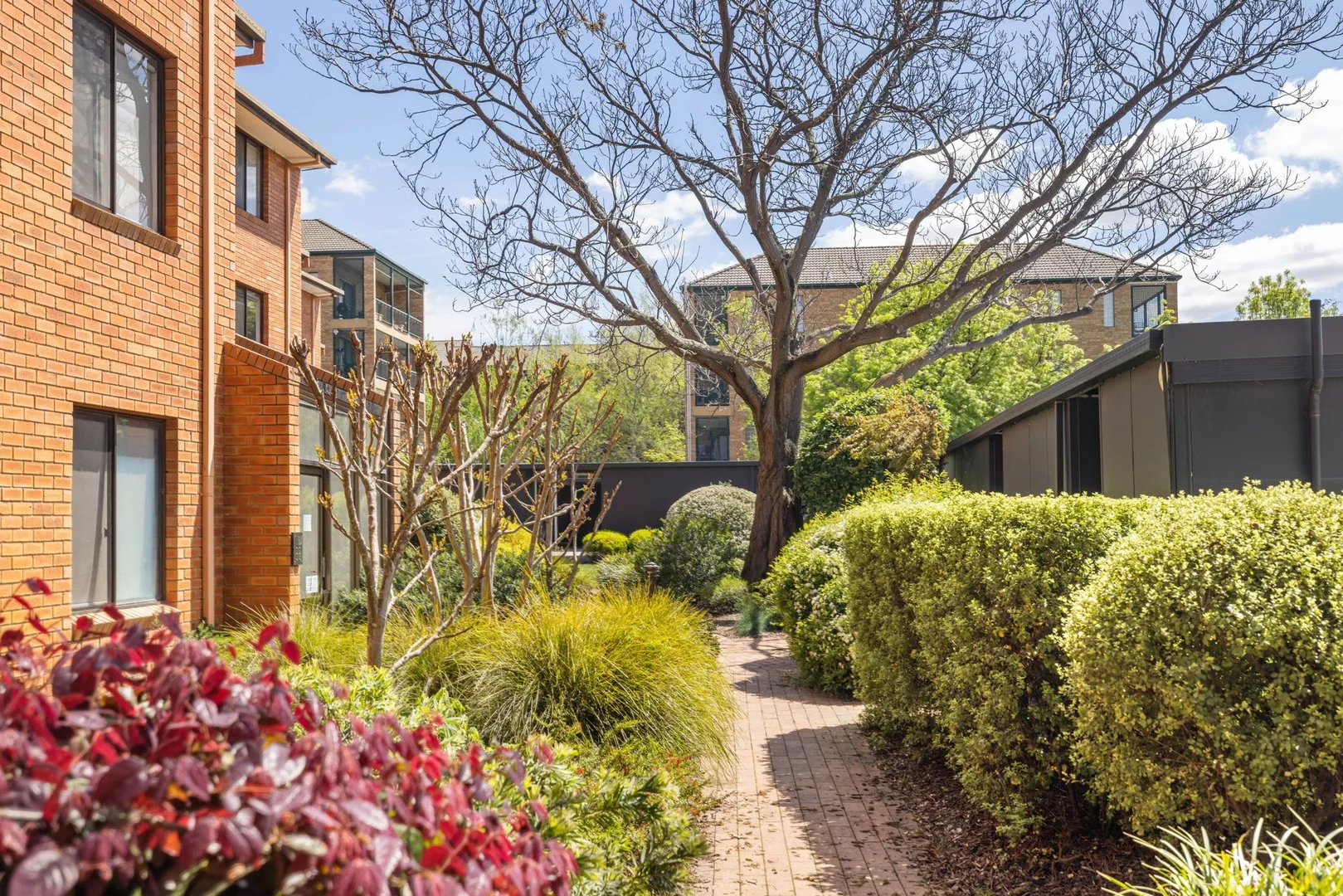 Additional image 3 of 9 Dawes Street, Griffith ACT 2603