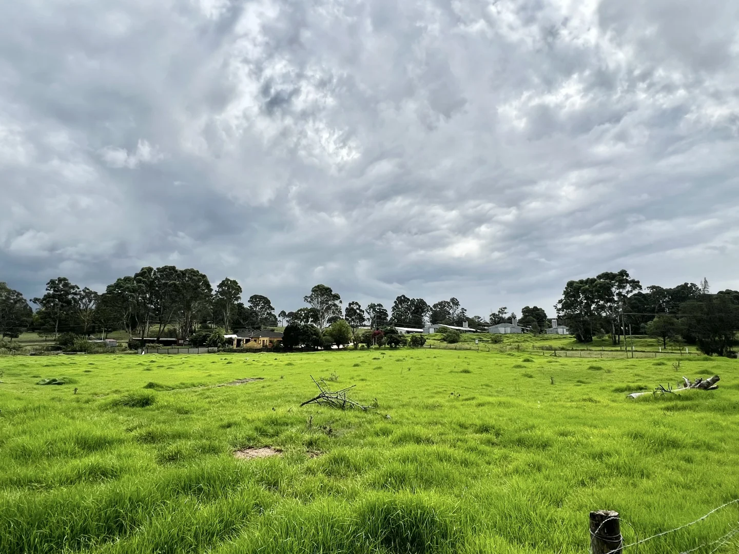 Additional image 14 of 77 Alma Road, Leppington NSW 2179