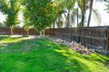 Additional image 33 of 36705 Road 144, Visalia, CA, 93292