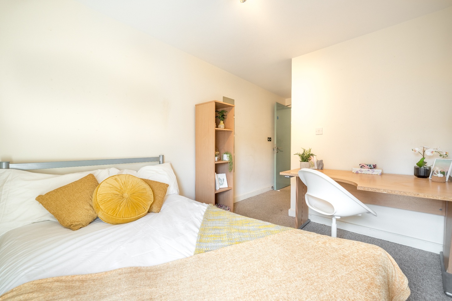 5 Bed Flat, Regent Terrace, S3, N1 7GU photo 5