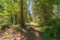 Additional image 30 of 11221 Corral Bottom Rd, Big Bar, CA, 96010
