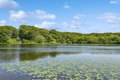Additional image 40 of 292 Little Fresh Pond Rd, Southampton, NY, 11968