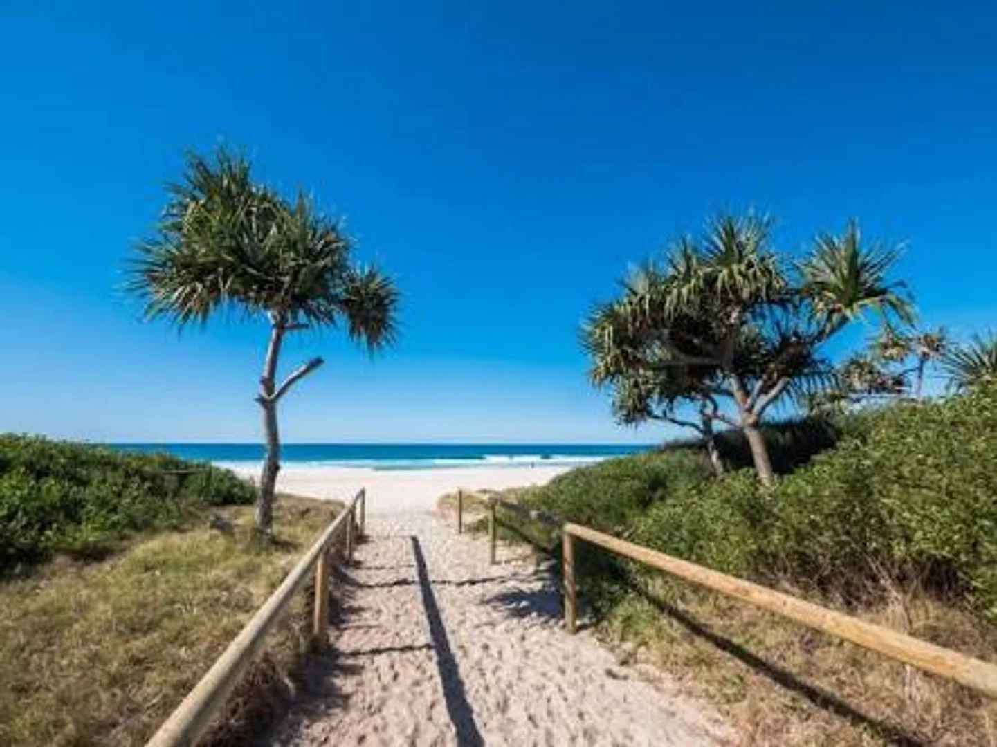 Additional image 9 of Palm Beach QLD 4221