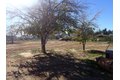 Additional image 34 of 3921 W Ward Ave, Ridgecrest, CA, 93555