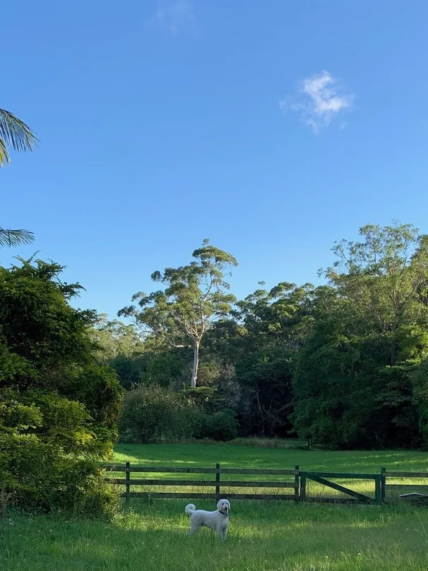 Maleny QLD 4552