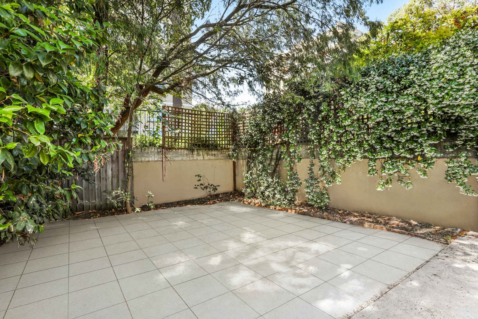 Additional image 3 of 18 Council Street, Bondi Junction NSW 2022