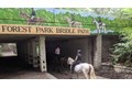 Additional image 30 of 118-82 Metropolitan Ave Unit 1B, Kew Gardens, NY, 11415