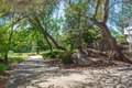 Additional image 62 of 8501 King Rd, Loomis, CA, 95650