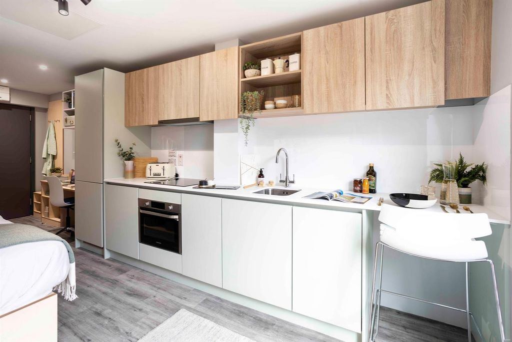 Studio to rentUniversity Road, Belfast BT7 photo 3