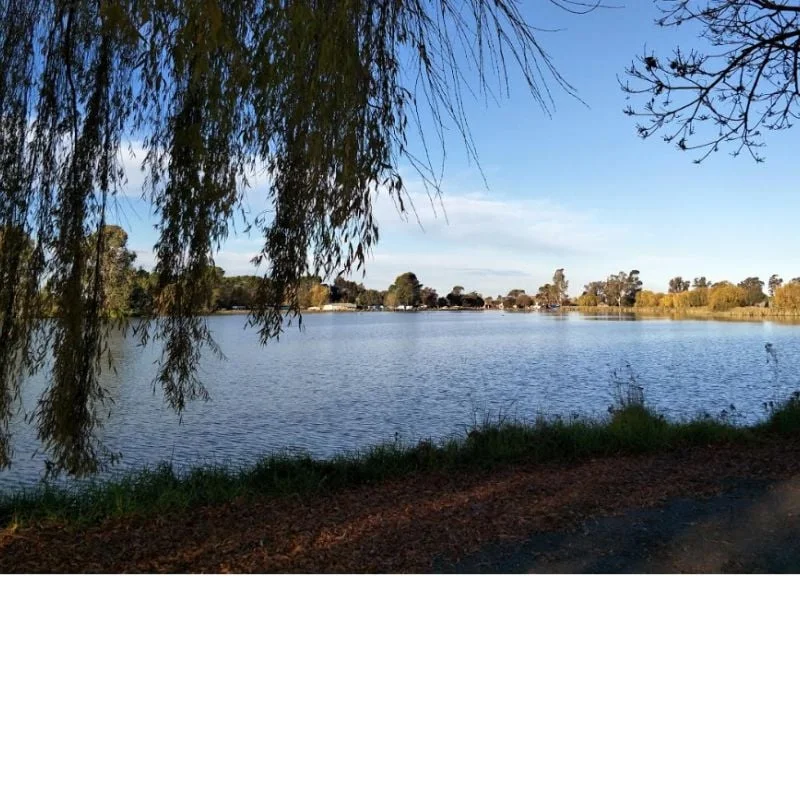 Additional image 6 of 151-155 Murray street, Finley NSW 2713