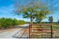 Additional image 6 of 36705 Road 144, Visalia, CA, 93292