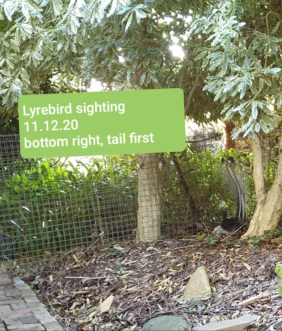 Additional image 10 of 13-15 Sunset Ave, Olinda VIC 3788