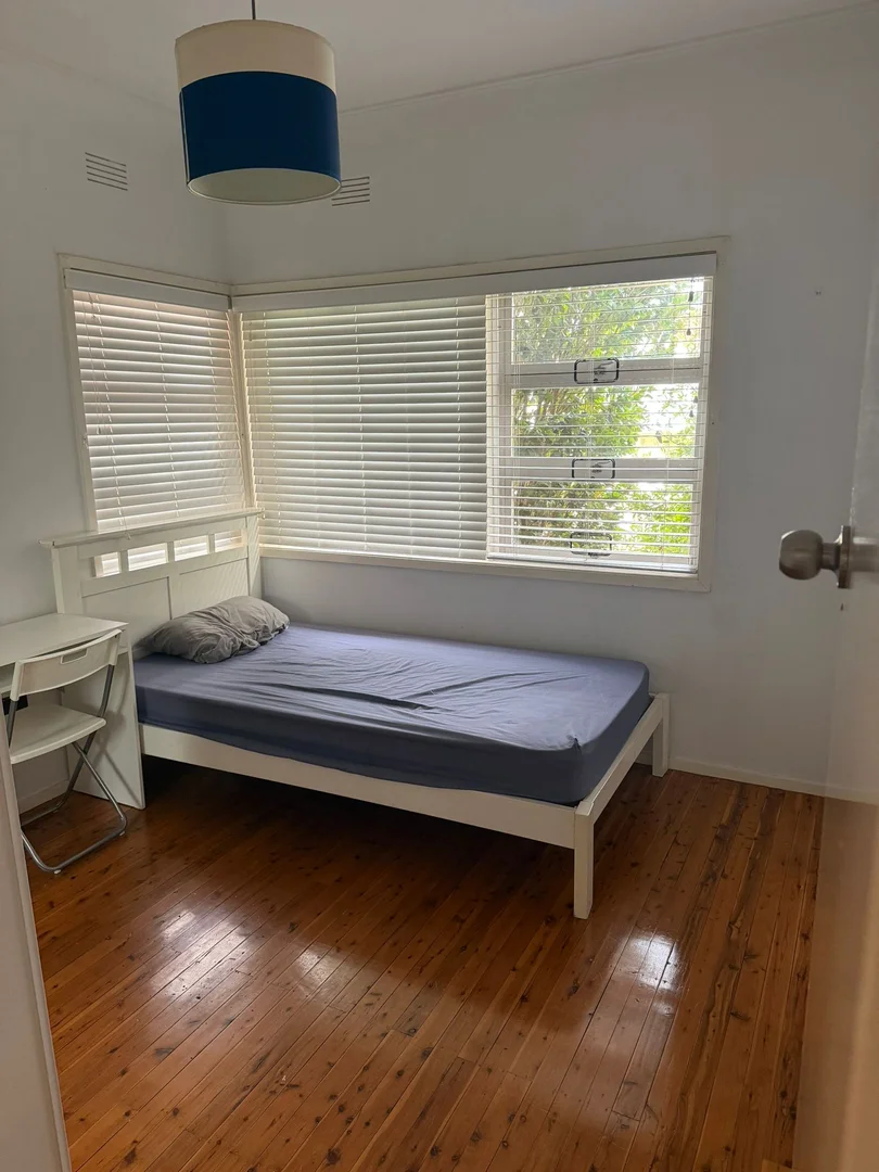 29 Smiths Avenue, Cabramatta NSW 2166 photo 4