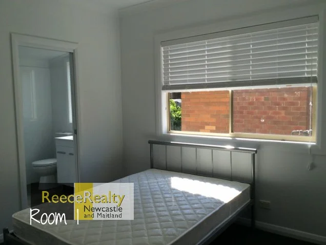 Additional image 5 of 105 Lorna Street, Waratah West NSW 2298