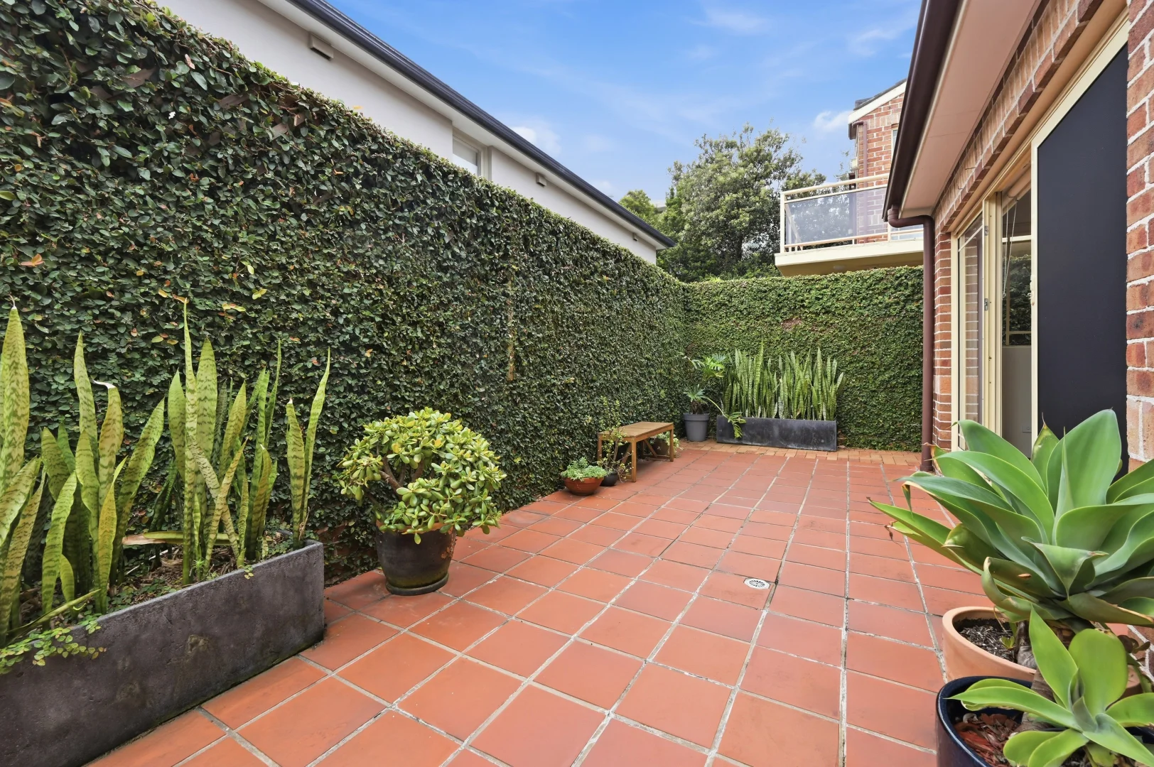 Additional image 3 of 3/102 Carrington Road, Waverley NSW 2024