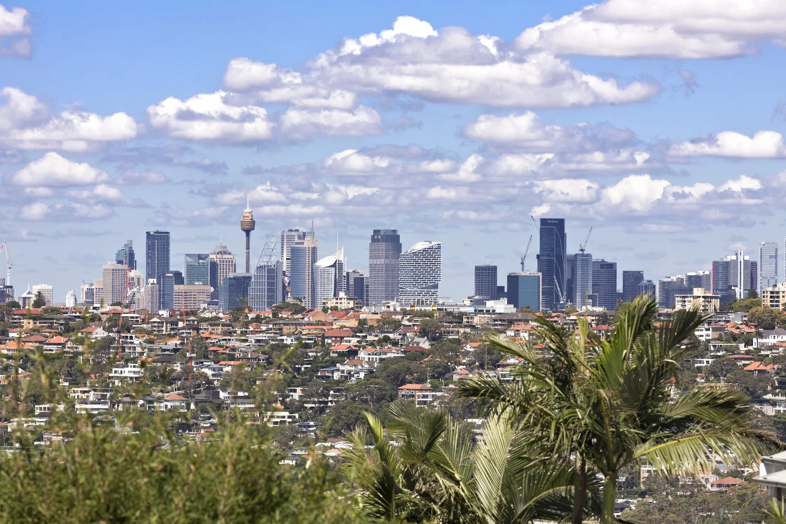 Additional image 2 of 3 Willawa Street, Balgowlah Heights NSW 2093